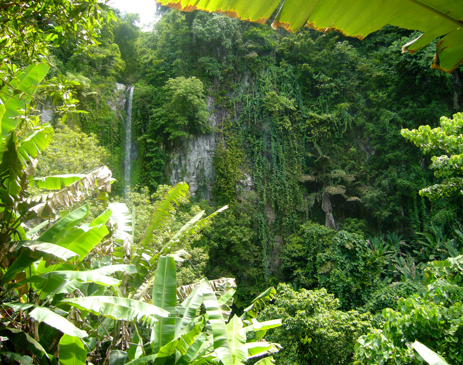 Waterfalls in Bohol island Philippines during a day tour